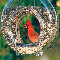 Specialty Bird Feeders